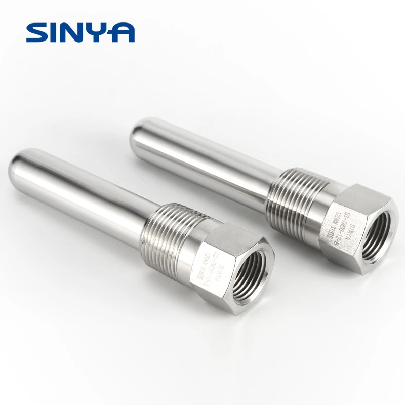 Manufacturer of Gauge Accessories Threaded Thermowell Supplier 316 Ss Temperature Deep Well